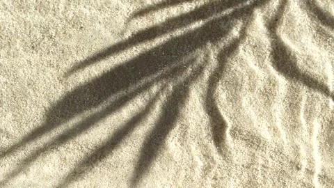 Slow motion water surface ripples and splash with palm tree leaf shadow on sand Stock Footage 167532897