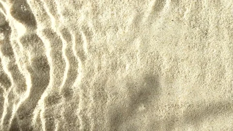 Slow motion water surface ripples and splash with palm tree leaf shadow on sand Stock Footage 169207366