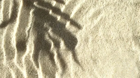 Slow motion water surface ripples and splash with palm tree leaf shadow on sand Stock Footage 169833503