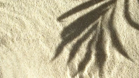 Slow motion water surface ripples and splash with palm tree leaf shadow on sand Vídeo Stock 202157448