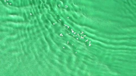 Slow motion water surface texture splashes, ripples isolated on green background Stock Footage 166192194