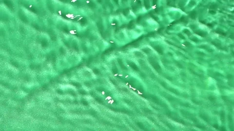 Slow motion water surface texture splashes, ripples isolated on green background Stock Footage 166597155