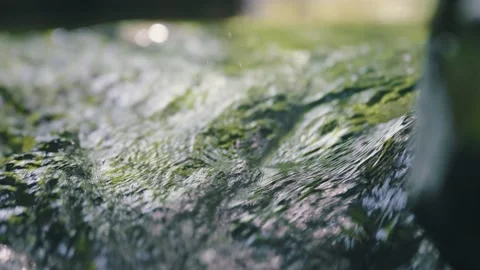 Slow motion of water from waterfall in the deep forest, clear stream flowing  Stock Footage 209794777