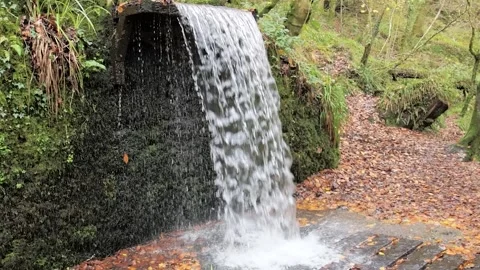 Slow Motion Waterfall in Autumn Stock-Footage 260229705