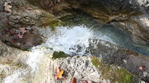 Slow motion of a waterfall in autumn Video stock 260863781