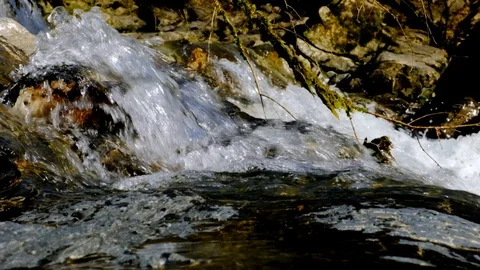 Slow motion waterfall close-up. Nature in spring. River current. Vidéo 104800566