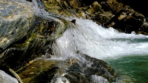 Slow motion waterfall close-up. Nature in spring. River current. Vidéo 104801116