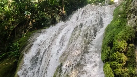 Slow motion of a waterfall flowing with mossy cliffs Stock Footage 321861250