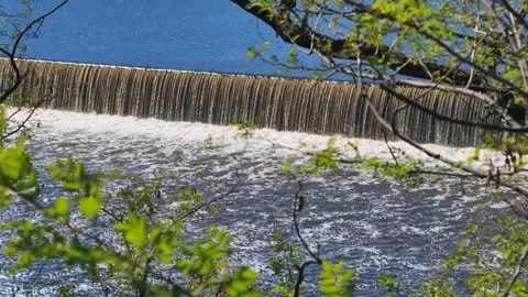 Slow Motion Waterfall Flowing Over Dam with Lush Green Nature 4K Footage Stock Footage 307297475