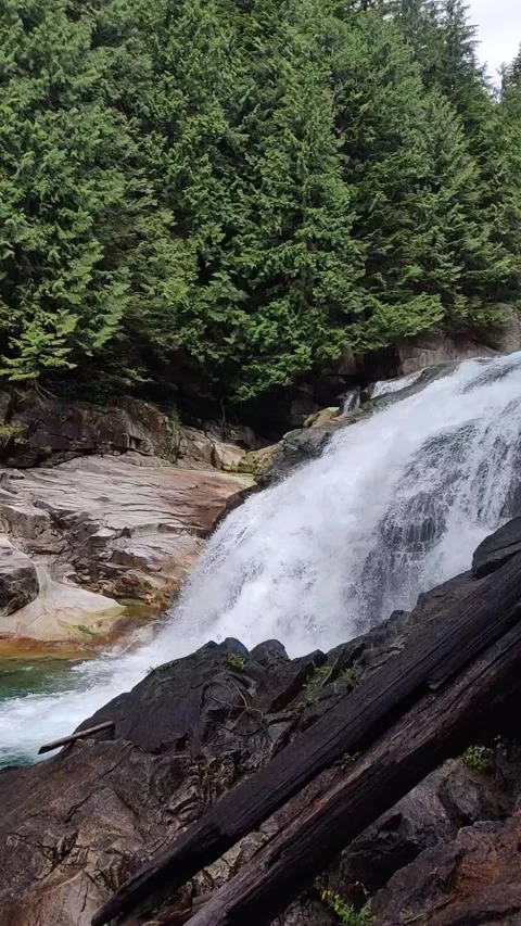 Slow Motion Waterfall in a Forest Stock Footage 168906010