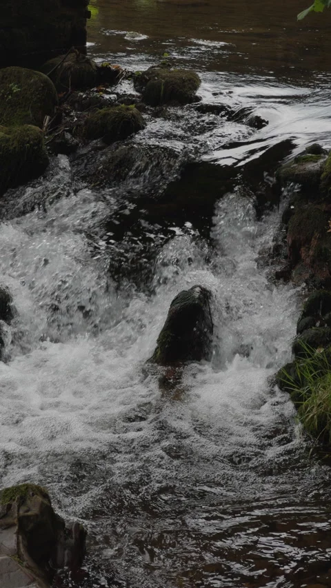 Slow Motion Waterfall on Forest River Video stock 280402000