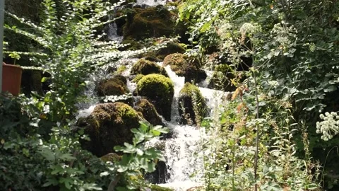Slow motion waterfall with mossy rocks Stock Footage 210789858