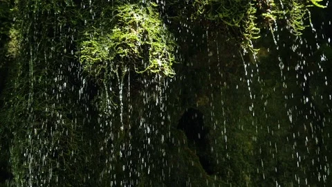 SLOW motion, waterfall in mountains. Closeup water drops falls splashing on moss Stock Footage 92582607
