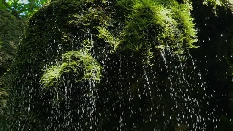 SLOW motion, waterfall in mountains. Closeup water drops falls splashing on moss Stock Footage 92584946