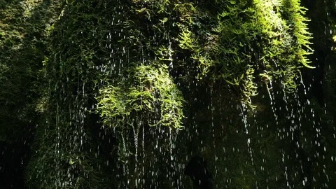 SLOW motion, waterfall in mountains. Closeup water drops falls splashing on moss 스톡 동영상 92585267
