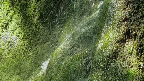 SLOW motion, waterfall in mountains. Closeup water drops falls splashing on moss Video stock 92589503