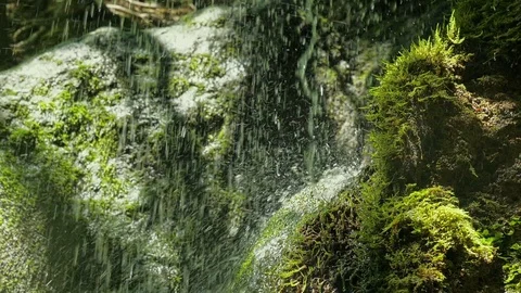SLOW motion, waterfall in mountains. Closeup water drops falls splashing on moss Video stock 92663193