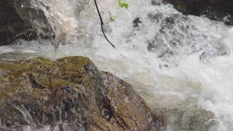 Slow motion of a waterfall in nature.	 Stock Footage 239966780