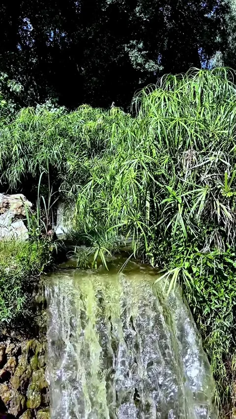 Slow motion of a waterfall in nature in park Stock Footage 274979189
