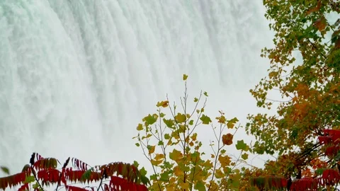 Slow Motion Waterfall Niagara Falls in Ontario Canada, Autumn Fall Leafs Stock Footage 83852876