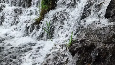 Slow Motion Waterfall Over Dark Rocks With Grass Stock Footage 345977776