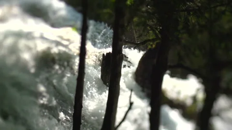Slow motion waterfall passes trees - selective focus Stock Footage 40259872