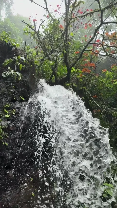 Slow motion of a waterfall on the roads of western ghats during monsoon seaso Stock Footage 313529103