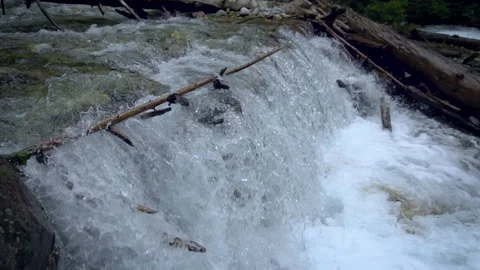 Slow Motion waterfall splash, fresh water over rocks with tree Stock-Footage 162392435