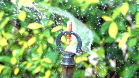 Slow motion watering a tree from sprinkler nozzle 库存影片 86594897