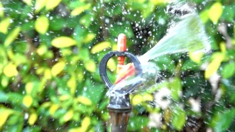 Slow motion watering a tree from sprinkler nozzle Stock Footage 86594898