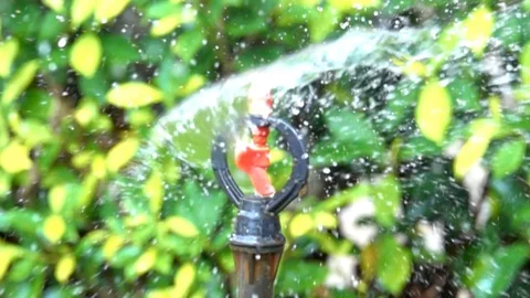 Slow motion watering a tree from sprinkler nozzle Stock-Footage 86594916