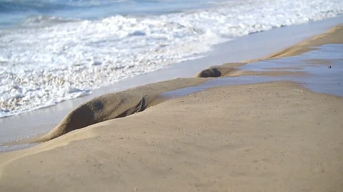 Slow motion wave washes ashore creating beautiful sculptures Stockbeeldmateriaal 111150242