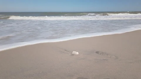 Slow motion waves approach isolated sea shell on east coast Atlantic beach, USA. Stockbeeldmateriaal 337180374