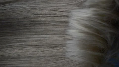 Slow motion waves of beautiful long smooth grey hair texture, haircare concept Stock Footage 162712964