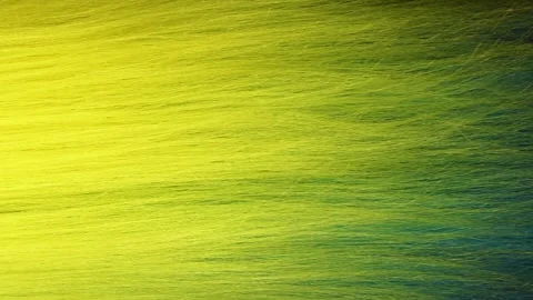 Slow motion waves of beautiful long smooth yellow hair texture, hair coloring 스톡 동영상 164017401