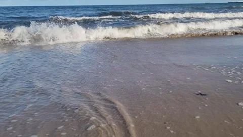 Slow motion waves with a bird taking off from the sea 動画素材 332720548