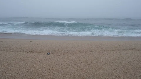 Slow motion waves breaking on a misty beach, with thick fog over the sea. Stock Footage 116176571