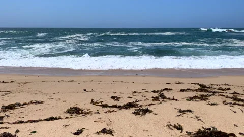 Slow motion waves breaking on a seaweed covered sandy beach in summer. Stock Footage 240671235