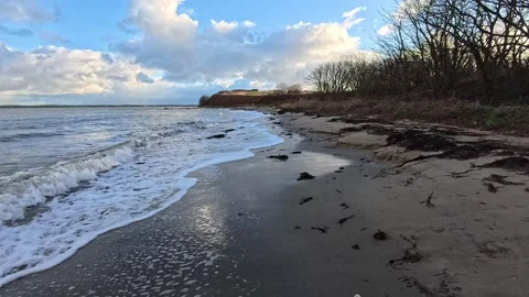 Slow motion waves cover sandy beach with golden sunrise behind silhouetted trees Stock Footage 325662472