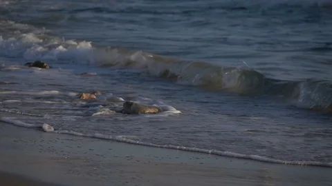 Slow Motion Waves Crashing on Beach in Caesarea Israel Stock Footage 78211388