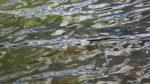 Slow motion of waves on green water surface on shoal. Stock Footage 66519864