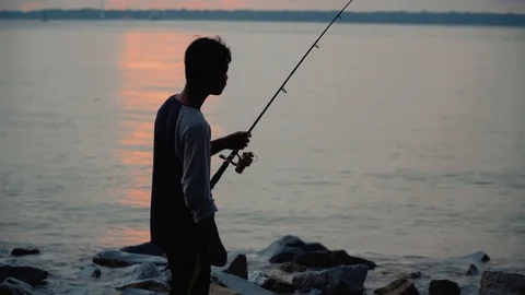 Slow motion of waves hitting a tree and rocks at beach side during sunset Stock Footage 99796085