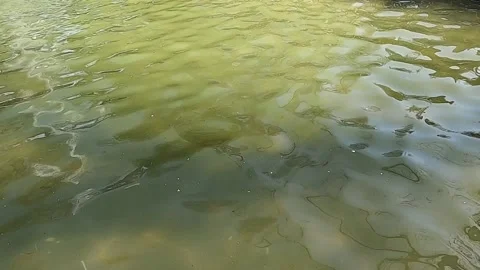 Slow-motion waves in the lake Stock Footage 176779647