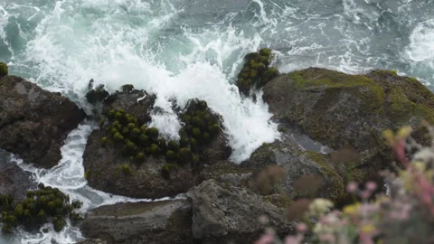 Slow Motion of Waves over Rocks and Kelp Seascape HD Stock Footage 154071347
