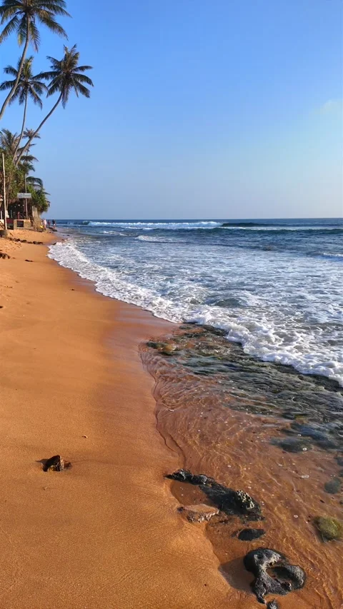Slow Motion Waves &amp; Palm Trees on Hikkaduwa Beach, Sri Lanka Stock Footage 329099615
