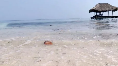 Slow motion of waves on a paradisiac island with white sand and turquoise Vídeo Stock 150317472