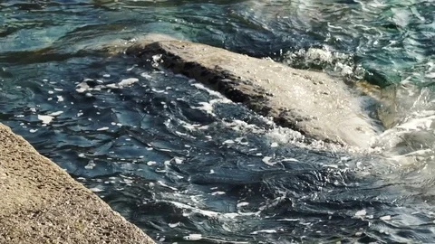 Slow motion of waves on the rocks by the shore in a Mediterranean sea, H Stock-Footage 74491172