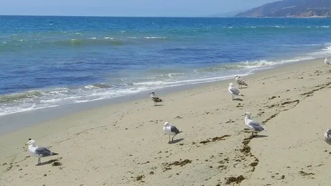 Slow motion waves on a sunny summer day in Santa Monica Stock-Footage 94240043