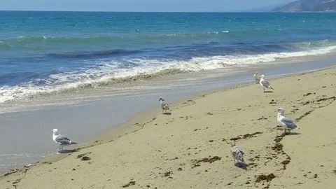 Slow motion waves on a sunny summer day in Santa Monica Stock-Footage 94240117