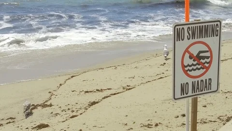 Slow motion waves on a sunny summer day in Santa Monica Stock-Footage 94240218